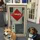 Hailey and Dooli are members of the team at Clearview in Bridgeport.