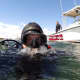 Denis Habza of Squalus Marine goes for a dive.