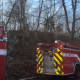 Greenwich Fire Department responded to a brush fire on Monday afternoon on Bible Street.