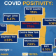 The COVID-19 positivity rate across New York's 10 regions.