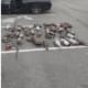 36 Stolen Catalytic Converters Recovered In Hudson Valley