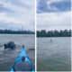 Kayaker Has Close Encounter With Dolphins In Hudson River (VIDEO)