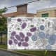 West Chester University Student Tests Positive For Monkeypox