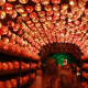 The Tunnel O' Pumpkin Love at the Great Jack O'Lantern Blaze