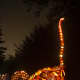An enormous brontosaurus towers over Jurassic Park at the Great Jack O'Lantern Blaze