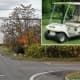 60-Year-Old Killed After Car Strikes Golf Cart In Region