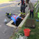 The firefighters remove the storm drain and prepare to save the ducklings.