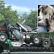 FOUND! Dog Who Fled Horrific Route 287 Dump Truck Rollover Turns Up The Next Day