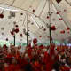 Celebrating members of Fox Lane High School's 2014 graduating class throw their caps into the air.