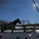 A horse is silhouetted against the winter sky in North Salem.