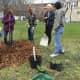 Students and staff begin digging for the  plantings at WCSU's permaculture garden.