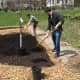 Students begin laying down mulch for the permaculture garden.