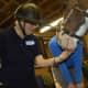 Hannah Wirfel, a PATH Therapeutic Riding Instructor, works with Janet, a resident of Waveny LifeCare Network in New Canaan.