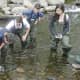 From left, Brien McMahon High students Pablo Parizot, Robert Kovach Jr., Benton Tarala and Sahian Beccerril release fledgling trout May 9 into the Silvermine River as part of their work in TeMPEST.