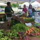Fresh produce from nearby Ambler Farm is one of many great products available at the Wilton Farmers Market.