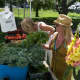 Shopping for flowers and produce at Smith's Acres.