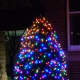 A Christmas tree lights up Main Street across from the New Canaan Library. 