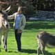Bethany Zaro, of North Wilton Road in New Canaan, with her donkeys Poppy, left, and Chipper. 
