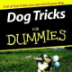 "Dog Tricks for Dummies" is one of Hodgson's books in the "For Dummies" series. Her philosophy looks at dog training as "teaching English as a second language."