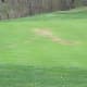 Damaged greens at Port Jefferson Country Club (44 Fairway Drive)
