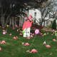 Flamingos were a favorite of Vicki Soto.