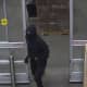 Burglar Breaks Into Walmart In Region, Steals Guns