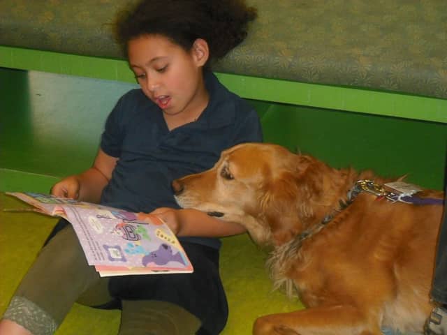 The Bloomingdale Free Public Library will continue its Paws to Read program March 5.