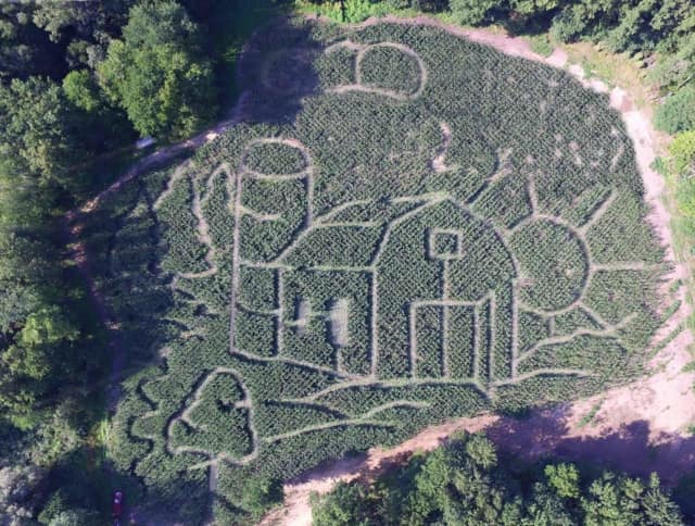 Check out the corn maze at Lupardi's Nursery in Closter.