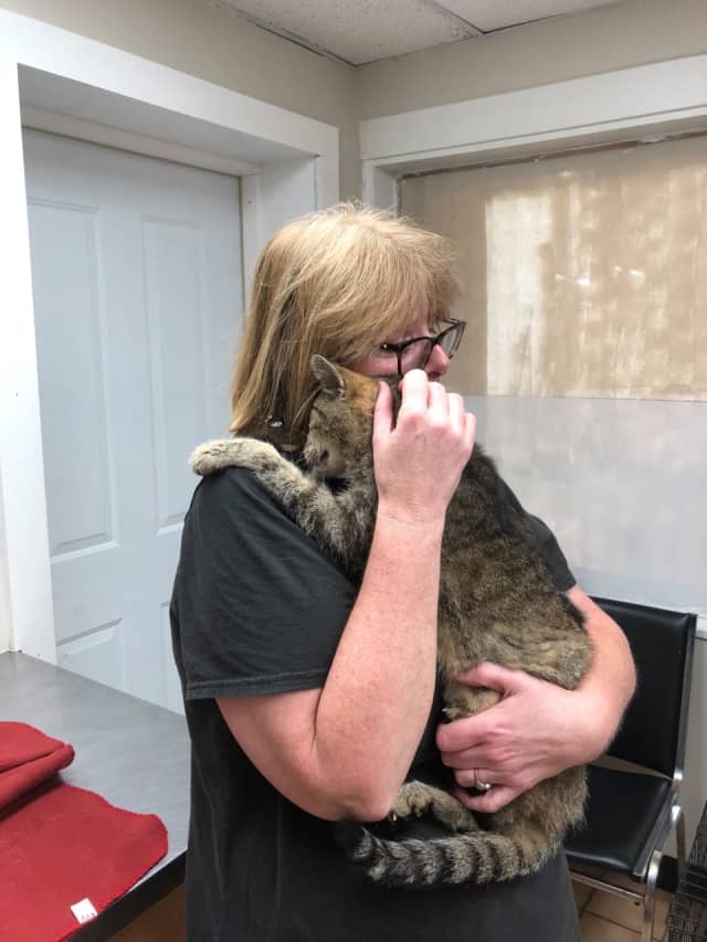 Tiger hugs his owner Maggie after an 11-year separation.