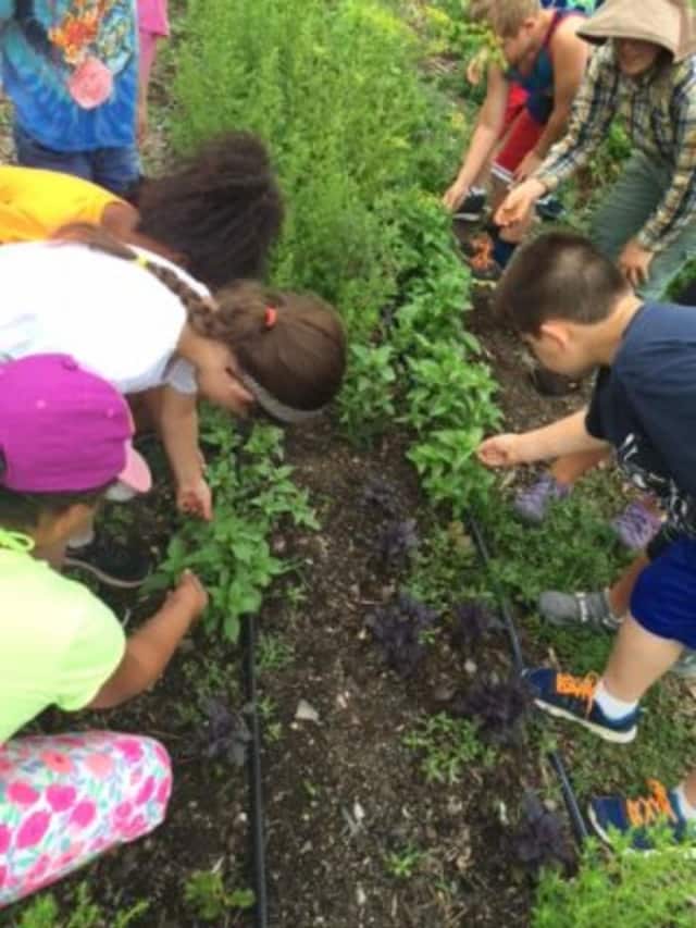 The FDR Home and Presidential Library is hosting a free workshop about ways to bring community supported agriculture into schools.