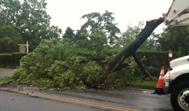 A downed tree forced the closure of East Putnam Avenue/Route 1 on Monday and knocked out power to about a number of homes and businesses.