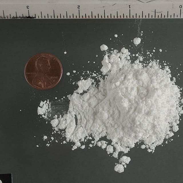 A pile of cocaine powder.