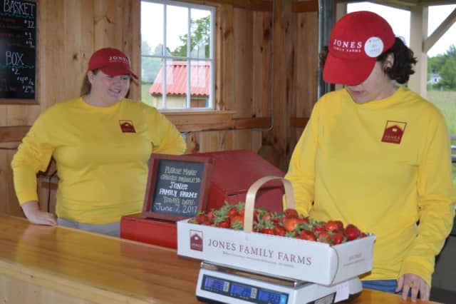 The strawberries are juicy and tart at Jones Family Farms, which just opened for pick-your-own business.