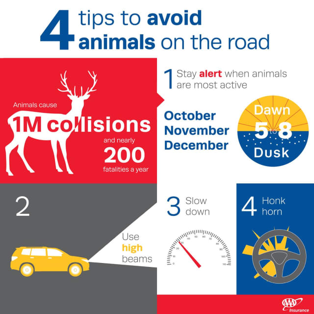 AAA has provided tips to help avoid animals on the road.