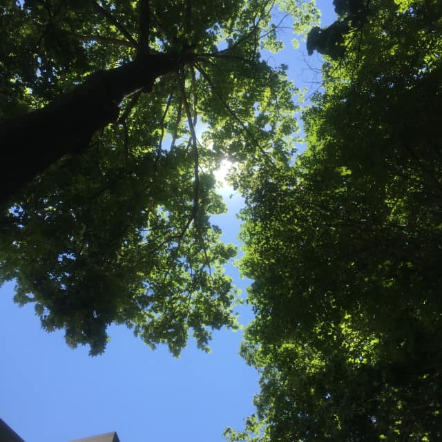 Sunny skies and cooler temperatures are forecast through the week in Fairfield County.