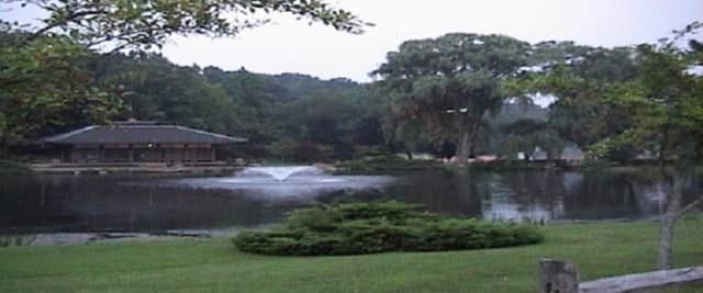 Police have identified a man found floating in a pond in Mt. Kisco.