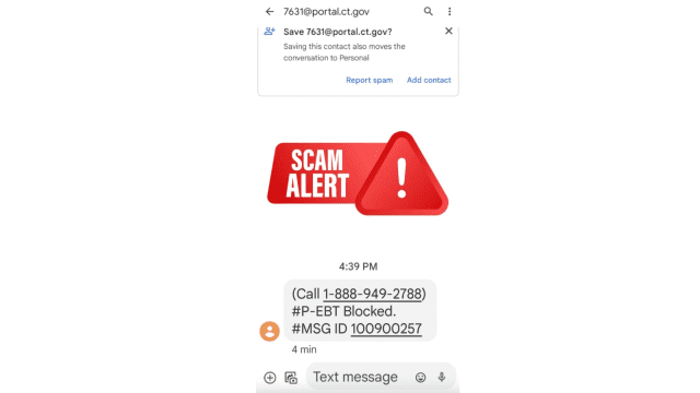 An example of the scam texts