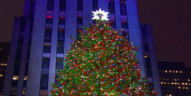 Hundreds of thousands of people stood in the rain to watch the 10-foot tree from the Hudson Valley glow in the annual Rockefeller Center Christmas Tree Lighting Ceremony.