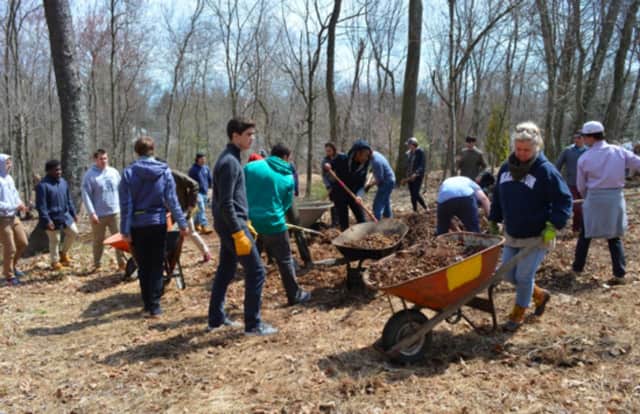 Members of the Westport Tree Board and Staples High School students work at the Lillian Wadsworth Arboretum. The Tree Board is holding a seedling giveaway at the arboretum April 29.