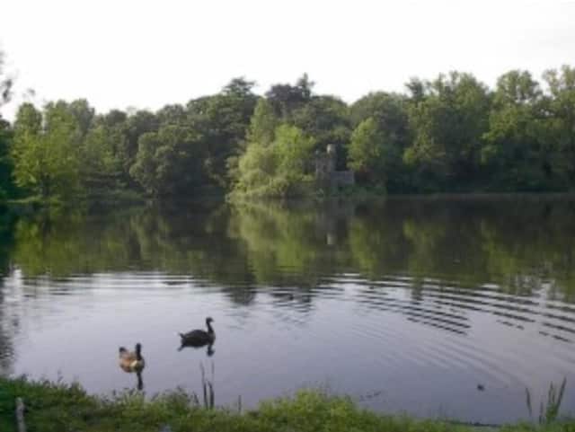 Halsey Pond Park in Irvington.
