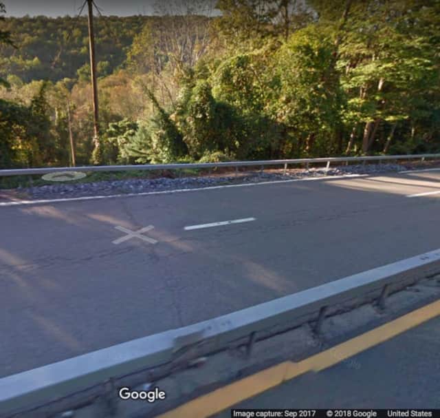 A black bear and her cub have been laying on the side of the Taconic Parkway in Putnam Valley since Monday.