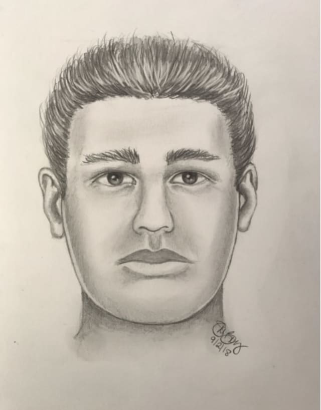A sketch of the robbery suspect who posed as a Verizon worker.