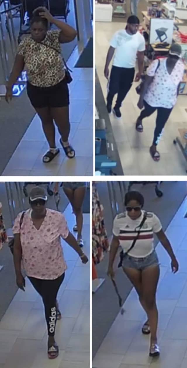 Wanted: Man, Three Women Accused Of Stealing Louis Vuitton Bag From Long Island Store | Nassau ...