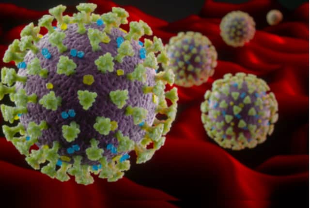 The number of cases of novel coronavirus (COVID-19) in Dutchess County continues to rise as more people are tested.