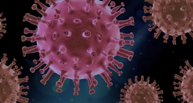 The India strain of the COVID-19 virus has been found in dozens of states, including the US.