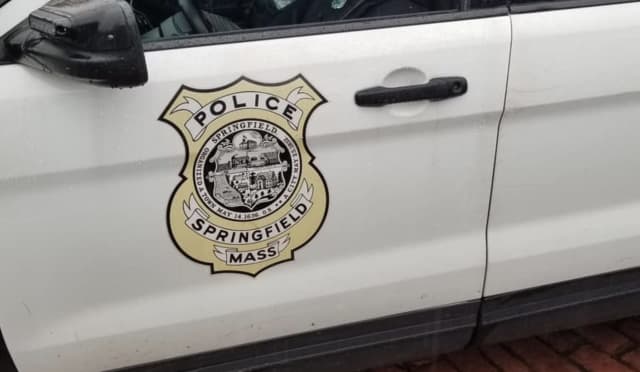 The Springfield Police have called in the state police to help quell gang violence.