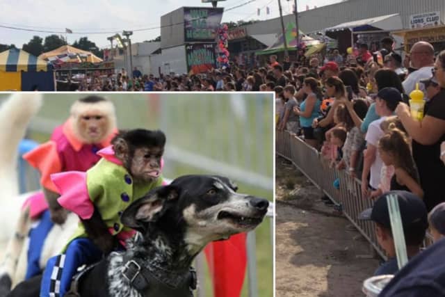 Wallkill Supervisor George Serrano is criticizing the Orange County Fair over an attraction featuring dog-riding monkeys.