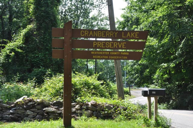 34+ Cranberry lake preserve camp Checklist