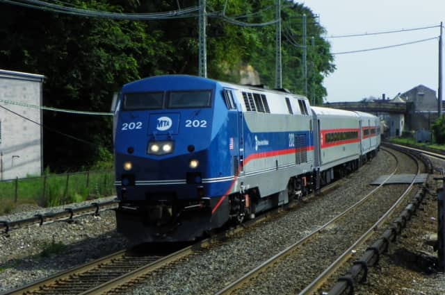 The Metro-North Danbury Branch was shut down Thursday after a car accident in Wilton.