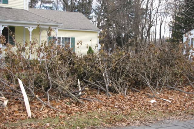 Yard waste collection will resume in New Rochelle on Tuesday, April 15. 